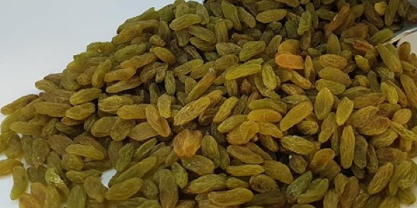 تصویر 2 از خرید و قیمت کشمش سبز ارگانیک + فروش صادراتی